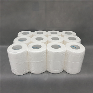 Ręcznik celulozowy mini 1w 100m BIGS