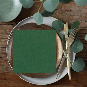 Serwetka airlaid  40x40 a 50  zieleń butelkowa