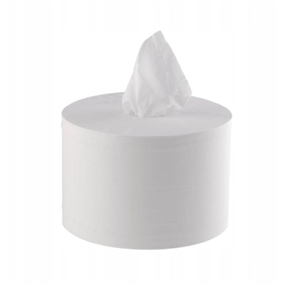 Papier toalet. centr.dozow. 2w 207m a6